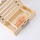 Ящик для хранения вина «Феррара», 35×20 см, на 2 бутылки 3972299