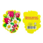 Открытка-шильдик "Тюльпаны, нарциссы" Открытка-шильдик "Тюльпаны, нарциссы"