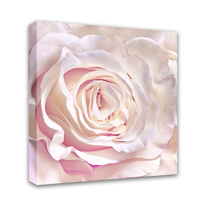 Картина на подрамнике "Нежная роза" 30*30 см - фото 798152338