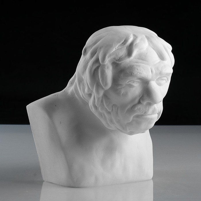 Гипсовая фигура, Бюст неандертальца «Мастерская Экорше», 17х15,5х19,5 см