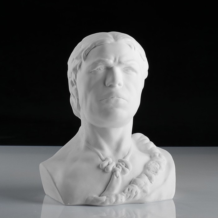 Гипсовая фигура, Бюст кроманьонца «Мастерская Экорше», 17х14.5х22.5 см