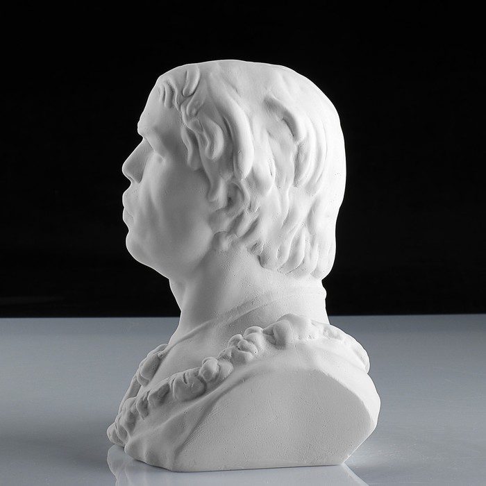 Гипсовая фигура, Бюст кроманьонца «Мастерская Экорше», 17х14.5х22.5 см
