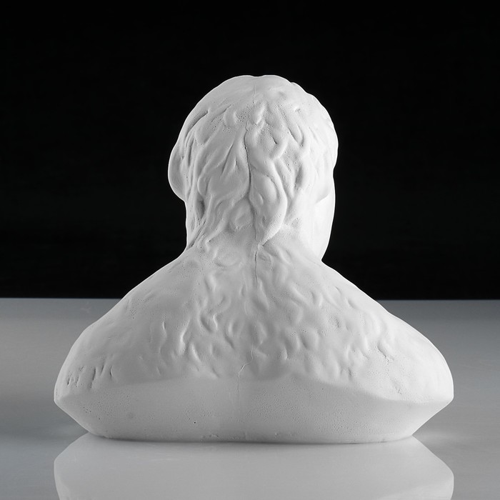 Гипсовая фигура, Бюст австралопитека «Мастерская Экорше», 21х15х19 см