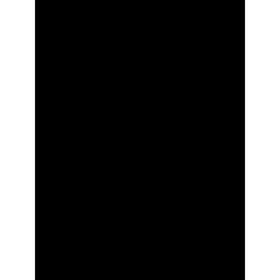 Самоклеящаяся пленка "Colour decor" 2024, черная 0,45х8 м