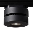 Светильник Siesta, 12Вт, LED, IP20, цвет чёрный Светильник Siesta, 12Вт, LED, IP20, цвет чёрный