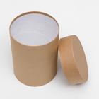 Набор коробок 5в1 "Крафт однотонный", 30 х 30 х 30 - 15 х 15 х 20 см 3506690