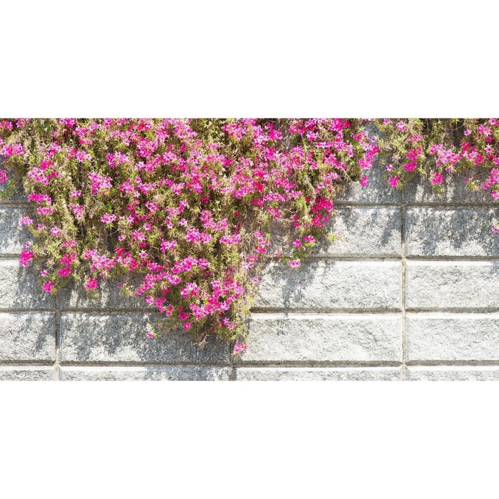 Фотобаннер, 250 × 150 см, с фотопечатью, «Стена с цветами»