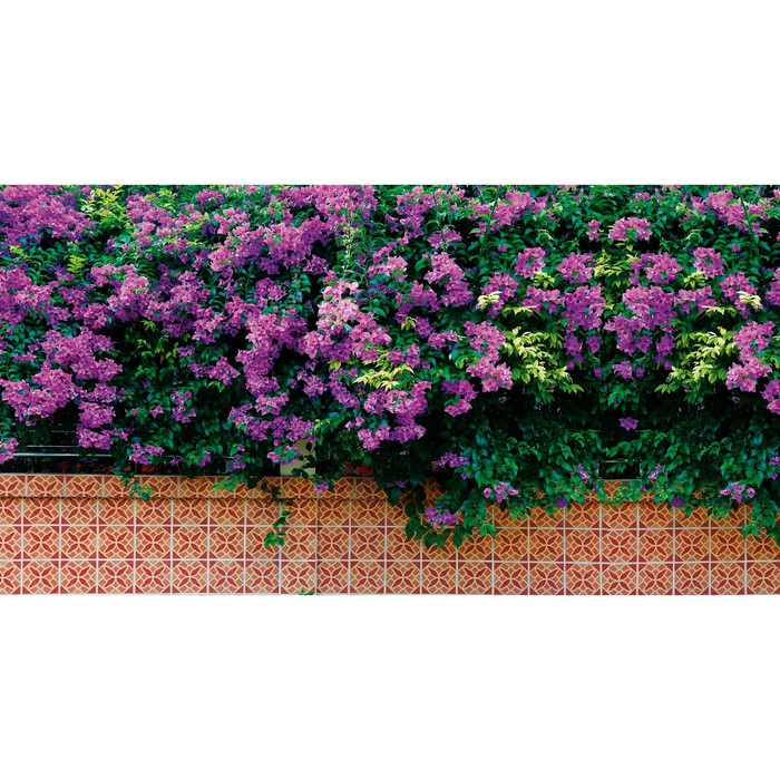 Фотобаннер, 300 × 200 см, с фотопечатью, «Фиолетовые цветы»