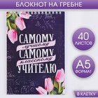 Блокнот "Самому лучшему учителю" на гребне, формат А5, 40 листов Блокнот "Самому лучшему учителю" на гребне, формат А5, 40 листов