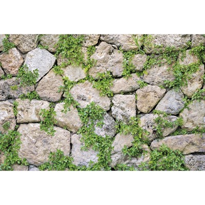 Фотобаннер, 300 × 160 см, с фотопечатью, «Каменная стена»