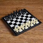 Шахматы "Торпос" пластиковые 19 х 19 см, в коробке - фото 625743