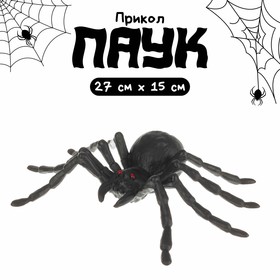 Паук блестящий, цвет чёрный, средний, на подложке в Донецке