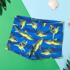 Плавки купальные для мальчика KAFTAN «Акулы», рост 98-104 (30), цвет синий - фото 1616947
