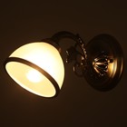 Бра "Абель" 1x40Вт E27 бронза 32х15х15 см - фото 2923739 Бра "Абель" 1x40Вт E27 бронза 32х15х15 см - фото 2923739