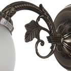 Бра "Абель" 1x40Вт E27 бронза 32х15х15 см - фото 2923740 Бра "Абель" 1x40Вт E27 бронза 32х15х15 см - фото 2923740