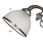 Бра "Абель" 1x40Вт E27 бронза 32х15х15 см - фото 2923741 Бра "Абель" 1x40Вт E27 бронза 32х15х15 см - фото 2923741