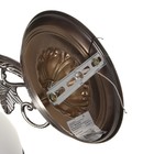 Бра "Абель" 1x40Вт E27 бронза 32х15х15 см - фото 2923743 Бра "Абель" 1x40Вт E27 бронза 32х15х15 см - фото 2923743