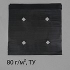 Материал мульчирующий, с перфорацией, 5 × 1,6 м, плотность 80, с УФ-стабилизатором, чёрный, Greengo, Эконом Материал мульчирующий, с перфорацией, 5 × 1,6 м, плотность 80, с УФ-стабилизатором, чёрный, Greengo, Эконом