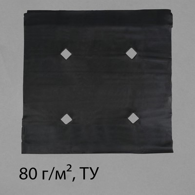 Материал мульчирующий с перфорацией, 5 × 1,6 м