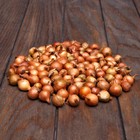 Onion sets "Stuttgarter risen", Chuvashiya, 2 group 0.5 kg Onion sets "Stuttgarter risen", Chuvashiya, 2 group 0.5 kg