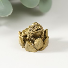 Нэцке полистоун бронза "Маленькая жаба в лотосе" 2,5х2,5х2,5 см в Донецке