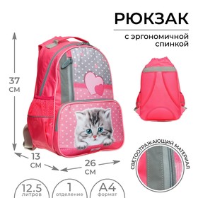 Рюкзак школьный Calligrata "Котёнок с горошком", 37 х 26 х 13 см, эргономичная спинка
