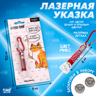 Лазер «Для игр с котиком», цвета Микс Лазер «Для игр с котиком», цвета Микс