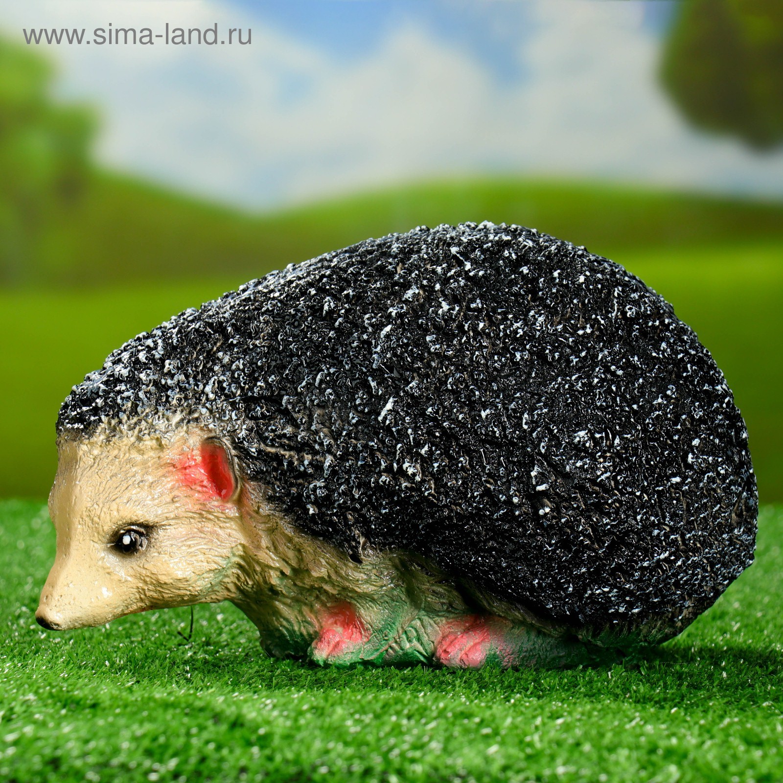 Самый большой еж