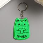 Key chain plastic reflective "Cat with a heart - You are a miracle" MIX 5x4 cm