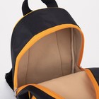 Рюкзак на молнии, цвет чёрный - фото 107712744 Рюкзак на молнии, цвет чёрный - фото 107712744