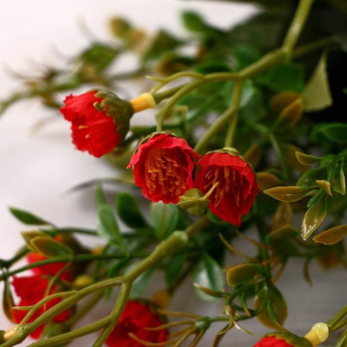 Букет "Эустома" 30 см, микс (2 шт) - фото 800295238