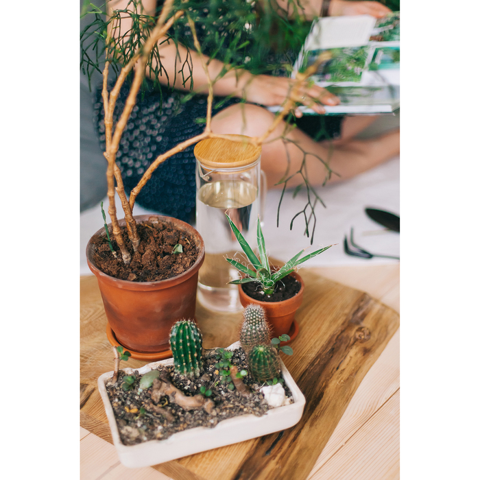 Графин Magistro «Эко», 1,3 л, 13×9×24 см - фото 798184191