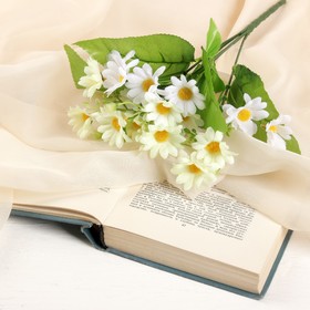 A bouquet of "Daisies" 30 cm, white
