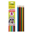 Pencils 6 colors Calligrata