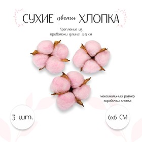 Сухие цветы хлопка, набор 3 шт., размер 1 шт. 6 × 6 см, цвет розовый