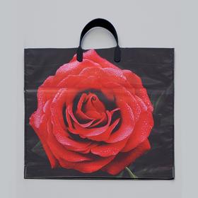 Пакет "Красная роза", полиэтиленовый с пластиковой ручкой, 38 х 35 см, 100 мкм