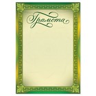 Diploma classic, green, 21х14,8 cm Diploma classic, green, 21х14,8 cm