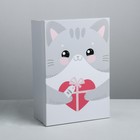 Коробка прямоугольная «Счастливый кот», 32 × 22 × 11.5 см Коробка прямоугольная «Счастливый кот», 32 × 22 × 11.5 см