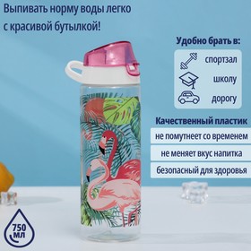 Бутылка для воды пластиковая «Фламинго», 750 мл 4169798