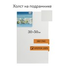 Холст на подрамнике, хлопок 100%, 30 х 50 х 1.8 см, акриловый грунт, мелкозернистый, 280 г/м2 «Студия» 4317102 - фото 7990441