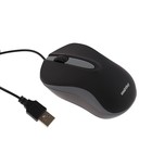 Мышь Smartbuy ONE 329, проводная, оптическая, 1200 dpi, USB, черно-серая Мышь Smartbuy ONE 329, проводная, оптическая, 1200 dpi, USB, черно-серая