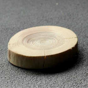 Спил дерева "Еловый", круглый, d=5-7 см, h=10 мм