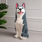 Копилка "Собака хаски", большая, серый цвет, флок, керамика, 40 см - фото 6625249