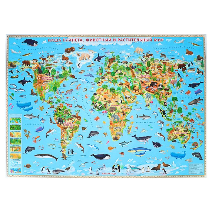 Карта Мира настенная географическая «Наша планета. Животный и растительный мир», ламинированная, 101 х 69 см