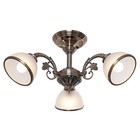 Люстра "Аланис" 3х40Вт E27 бронза 65х65х27 см. - фото 2790843