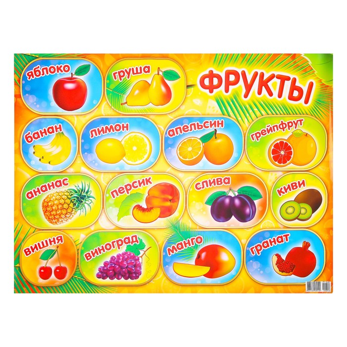 Фруктовому 28. Гидропресс купить для фруктов. Фруктовому 28. Фруктовому 28. Терка для винограда.