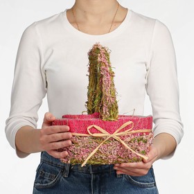 A set of baskets, 2 pcs, 25 × 16 × 11/28 cm, 20 × 12 × 9/22 cm, dry flowers