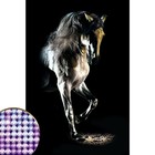 Алмазная мозаика с частичным заполнением «Грациозная лошадь» 20х30 см на холсте - фото 844929