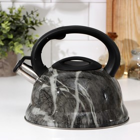 Kettle with whistle "Ashford" 2.8 l