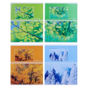 Тетрадь 48 листов в клетку Seasons, обложка мелованный картон, блок офсет, МИКС